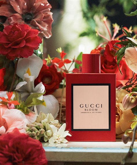 gucci bloom ambrosia di fiori gucci|gucci bloom ambrosia perfume.